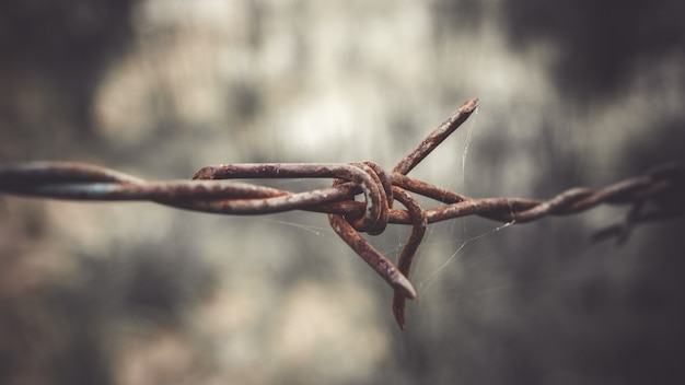 Photo barbed wire on fence