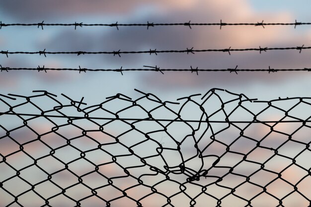 Barbed wire fence