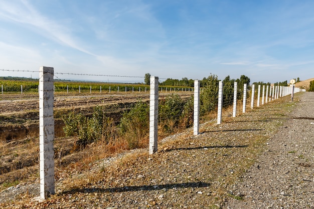 Barbed wire fence