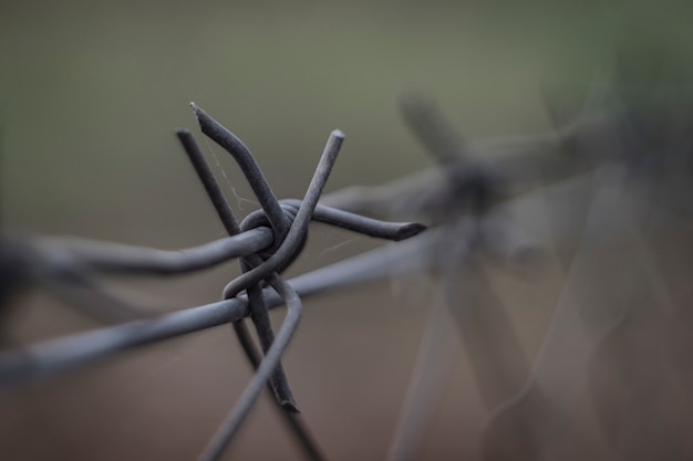 Photo barbed wire on the fence