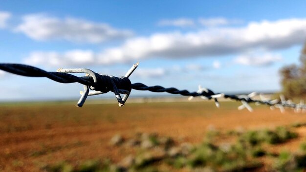 Photo barbed wire on field against sky