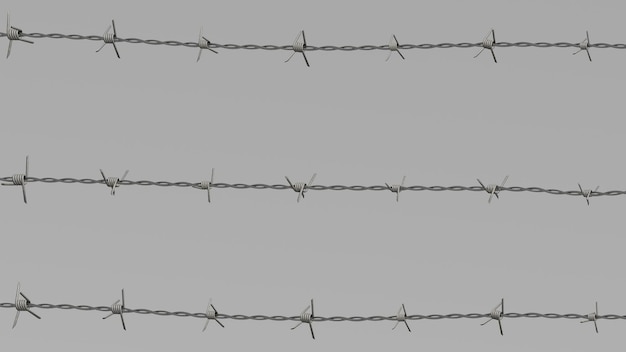 Barbed wire on a gray background 3d render with barbed wire
border protection. barbed wire fence