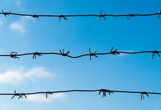 Barbed wire mesh and blue sky. Concept of prison freedom barrier