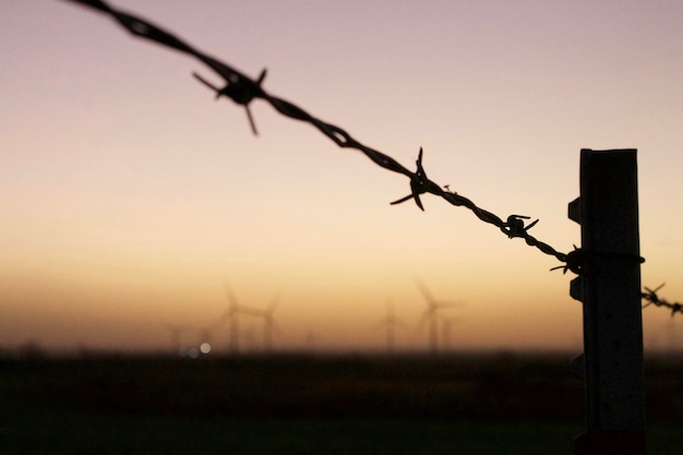 Foto il filo spinato al tramonto