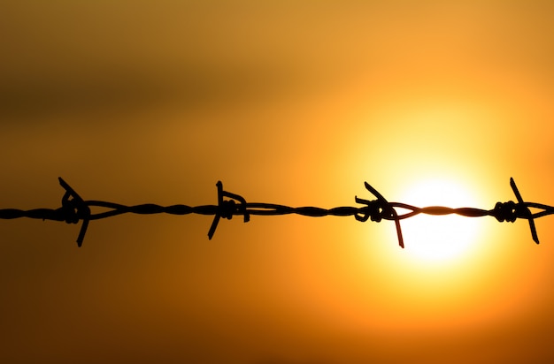 Photo barbed wire on sunset