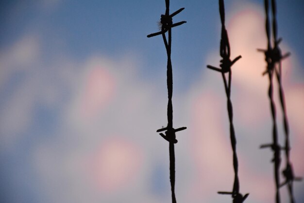 barbed wire on the wall closeup barbed