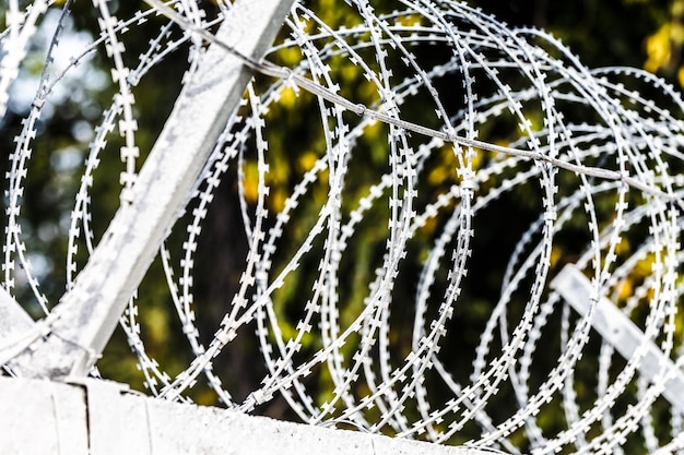 Barbed wire