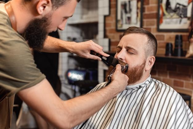 Barber and bearded man in barber shop