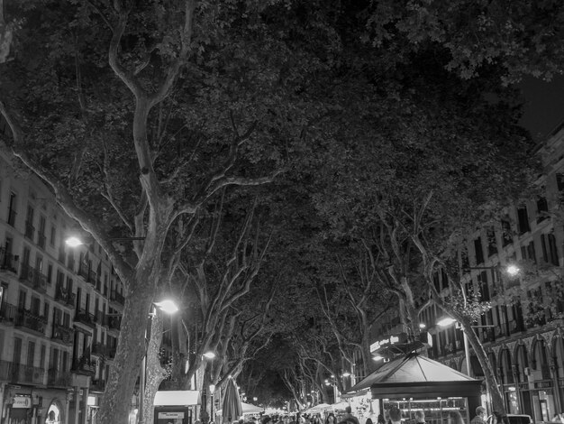 Barcelona at night