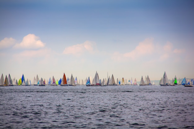 Barcolana regatta