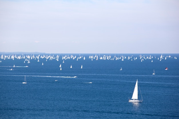 Barcolana, The Trieste regatta