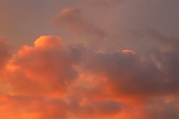 Bard clouds in the evening sky. Sunset in nature. High quality photo