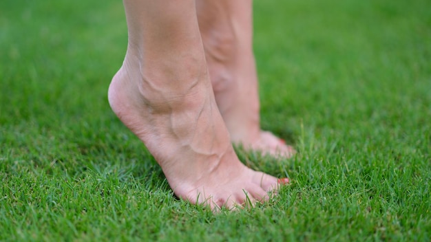 Bare female feet standing on green grass on tiptoe closeup