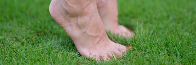 Bare female feet standing on green grass on tiptoe closeup