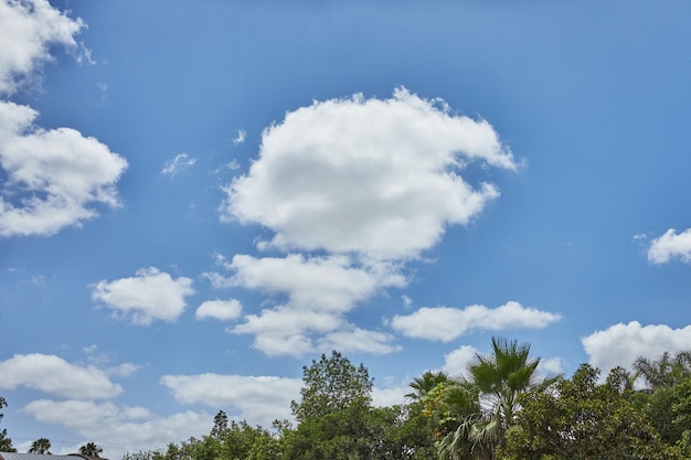 Bare sky texture with clouds and greenery below background.