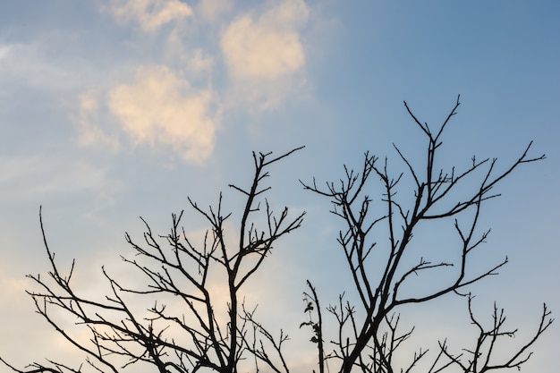 Nudo sole siccità inverno naturale