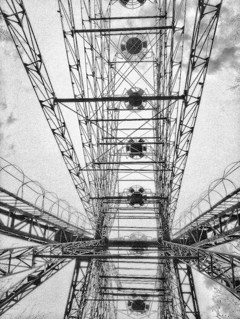 写真 空に照らされた裸の木