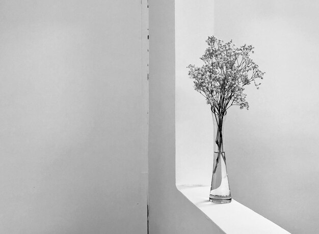 Bare tree against white wall