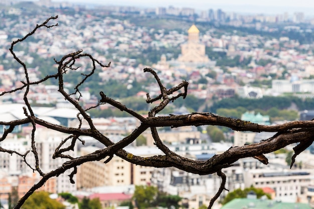 Photo bare tree branch and above view of tbilisi city