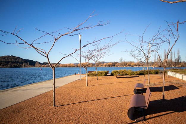 Photo bare tree by lake against sky