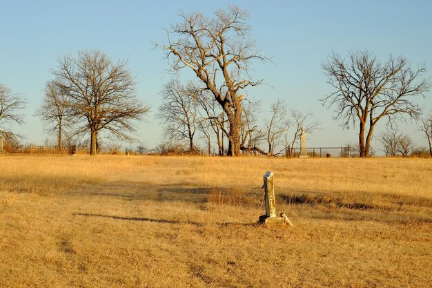 Bare trees at abandoned cemetery against sky