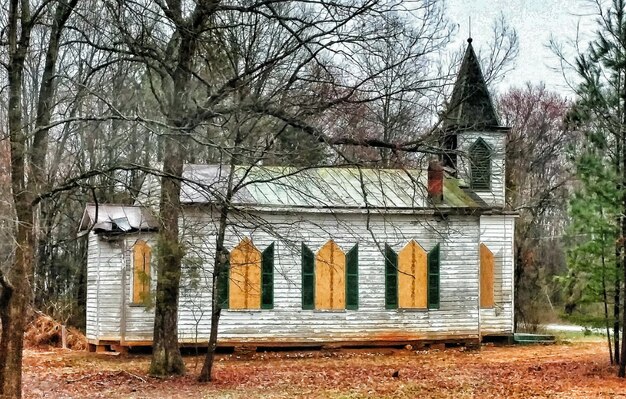 Photo bare trees against buildings