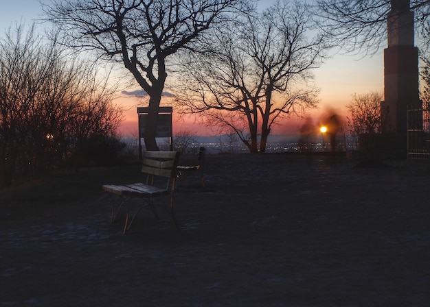 Foto alberi nudi contro il cielo durante il tramonto