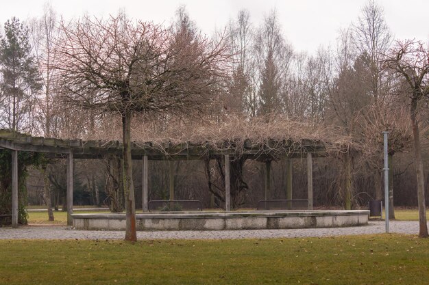 Bare trees against sky