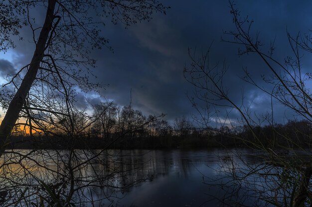 写真 夕暮れの雲の空に照らされた湖のそばの裸の木