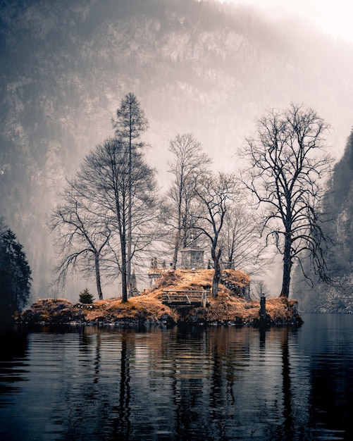 bare trees by lake against mountain