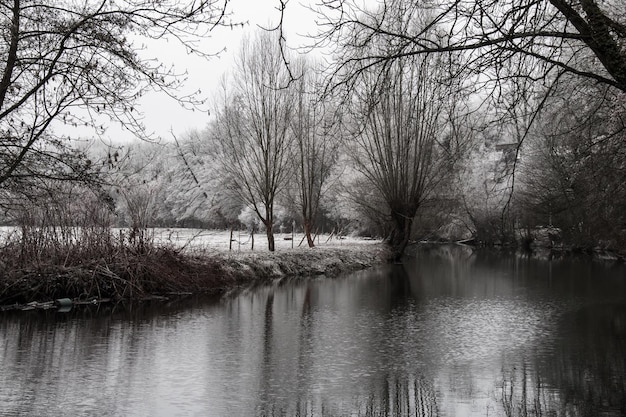 Bare trees by lake against sky