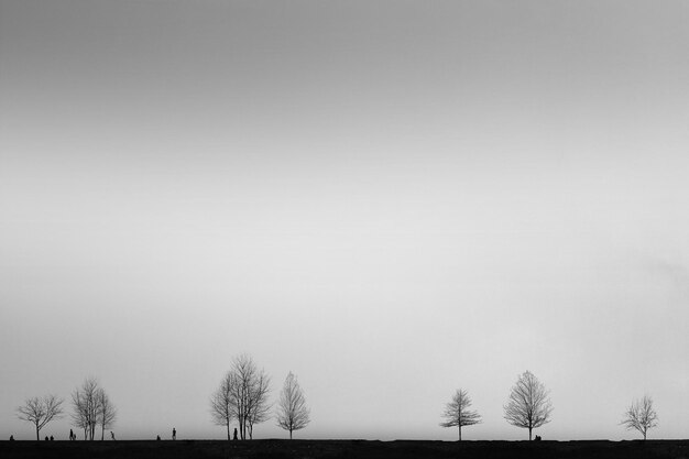 Photo bare trees on field against clear sky
