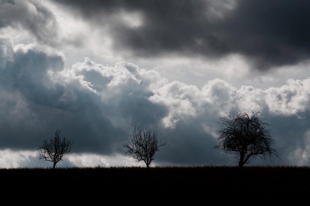 Bare trees on field against cloudy sky