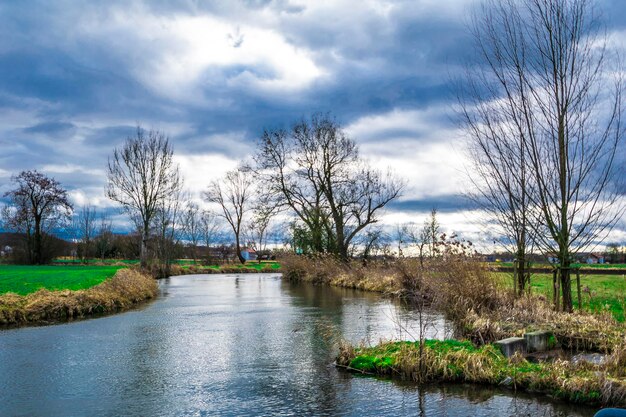 Foto alberi nudi sul paesaggio contro un cielo nuvoloso