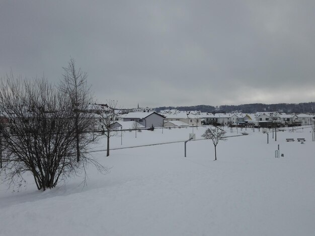 Bare trees on snow covered field against sky