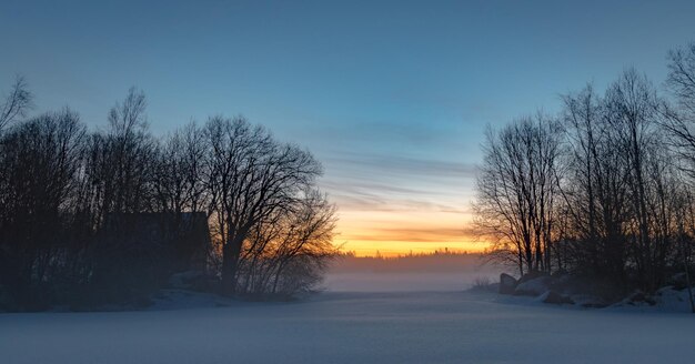 Photo bare trees on snow covered land during sunset