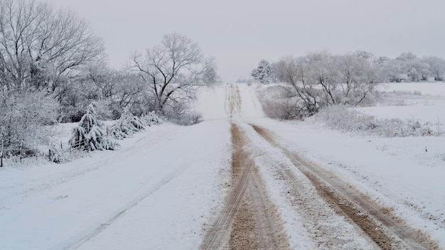 空に向かって雪に覆われた風景の裸の木