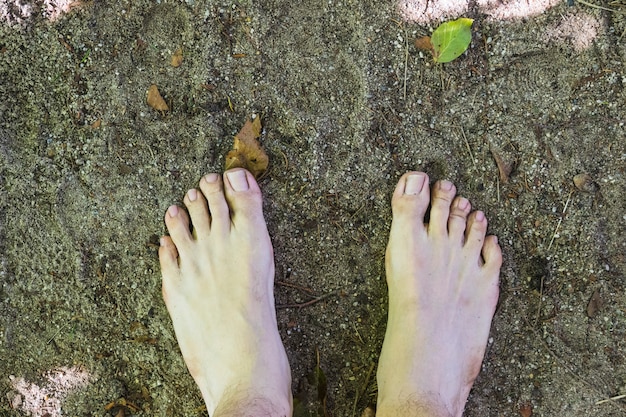 A barefoot aerial view on surface in the forest