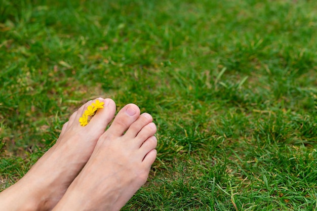 Barefoot female feet with yellow wildflowers between the toes against the background of green grass closeup