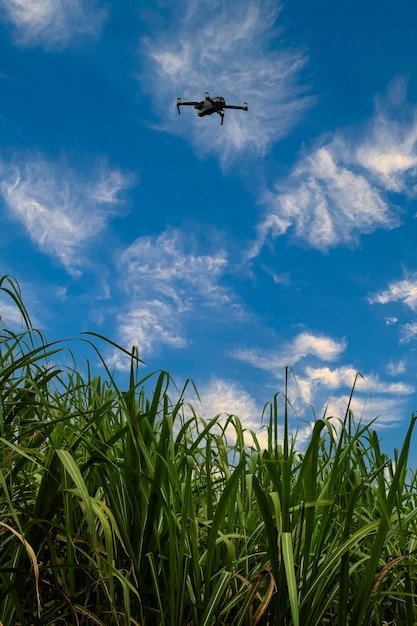 Bariri Sao Paulo Brazilië 26032022 drone mavic 2 pro vliegt over suikerrietvelden
