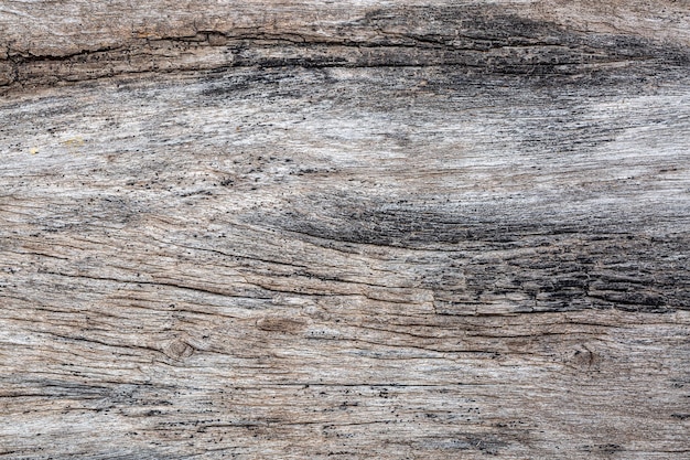 삼나무 나무 질감 배경의 껍질 마른 나무 질감Texture Of Wood