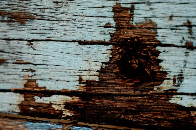 Bark texture background