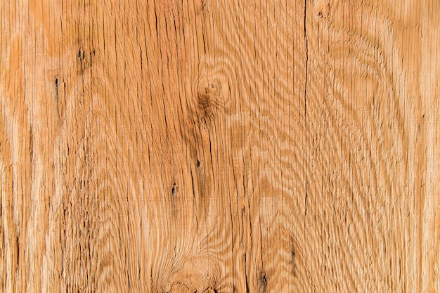 Bark texture