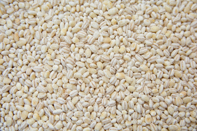 Photo barley grains background