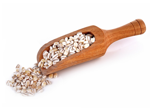 Barley Grains in scoop Isolated on White Background