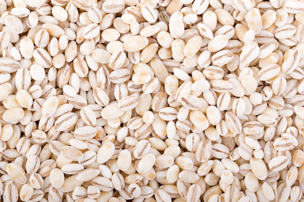 Barley Grains the scoop Isolated on White Background