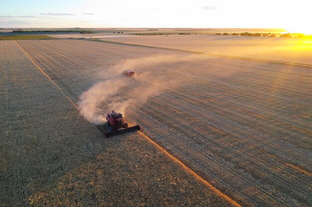 Barley harvest aerial view in La Pampa Argentina