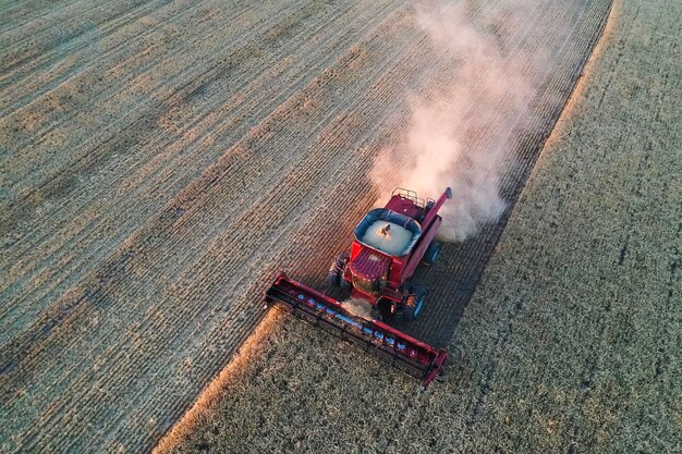 Barley harvest aerial view in La Pampa Argentina