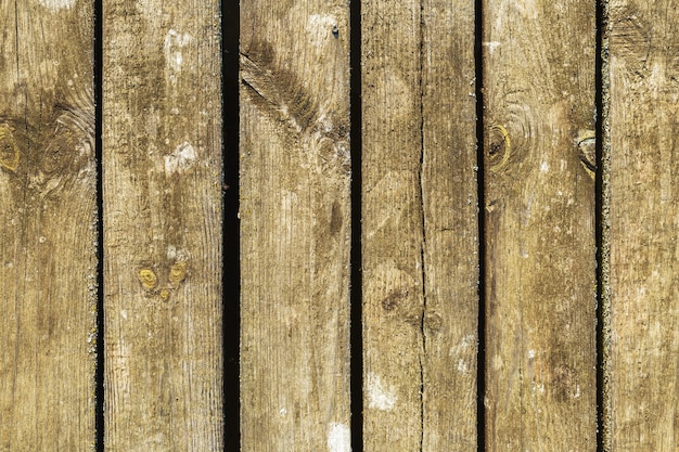 Barn board wooden texture background with moss, vertical boards. Old wooden background, dark brown green wooden texture naturally aged outdoors.