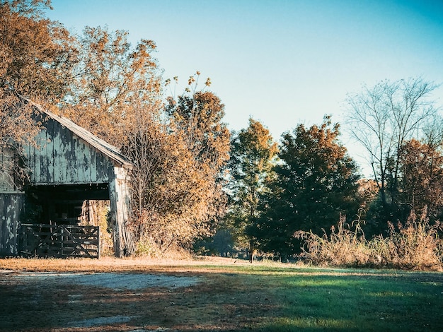 Photo barn on a farm